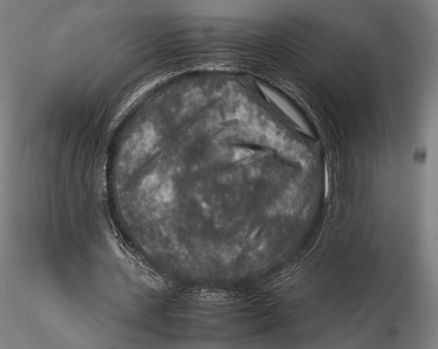 X0000115580531200912011441