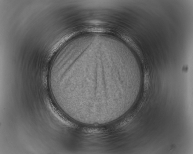 X0000115580533200912011441