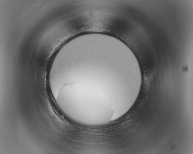 X0000115580534200912011441