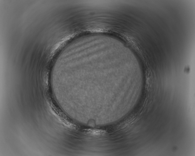 X0000115580539200912011441