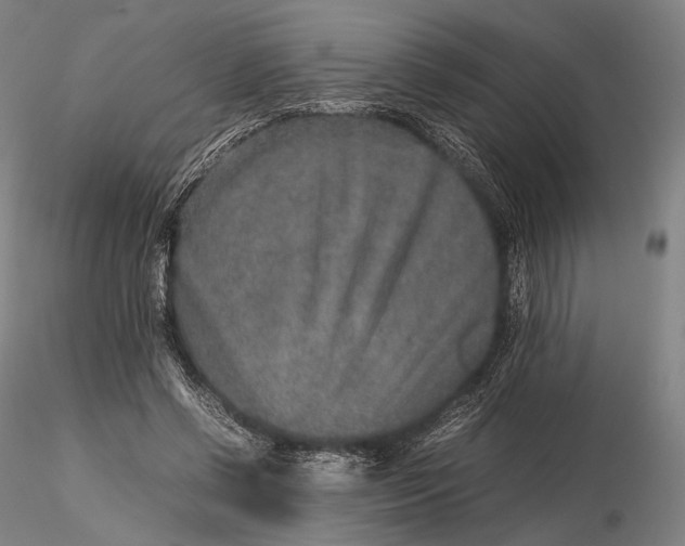 X0000115580542200912011441