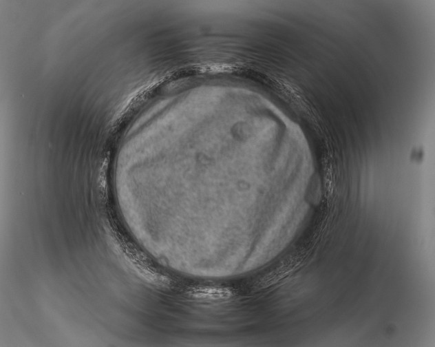 X0000115580543200912011441