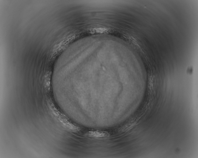 X0000115580545200912011441