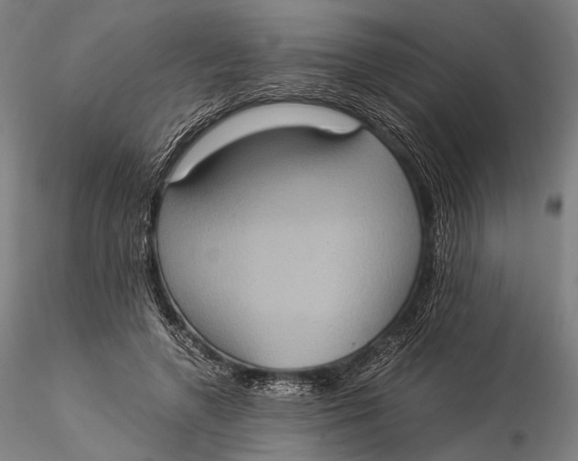 X0000115580546200912011441