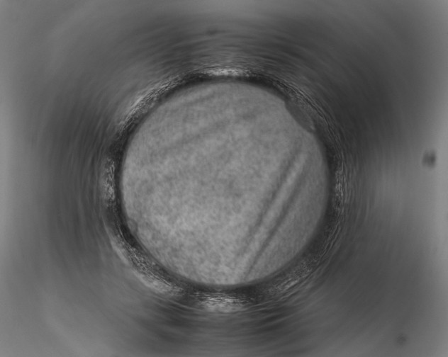 X0000115580547200912011441