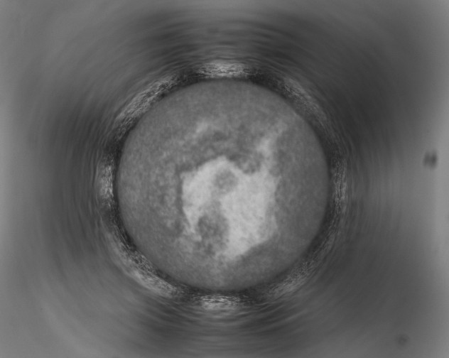 X0000115580549200912011441