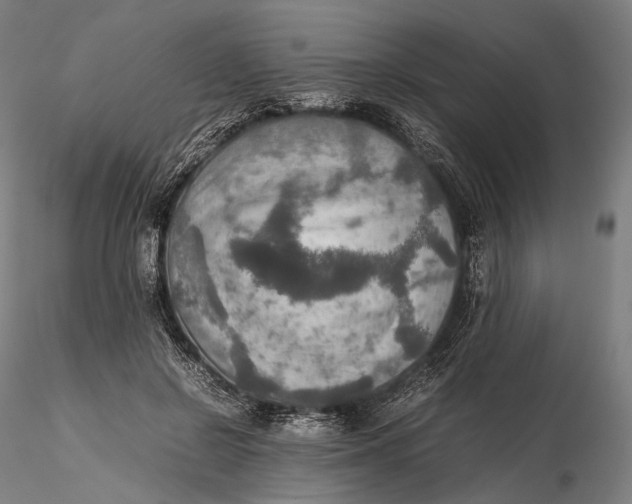 X0000115580550200912011441