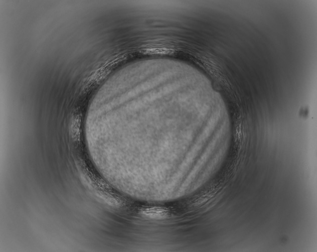 X0000115580551200912011441