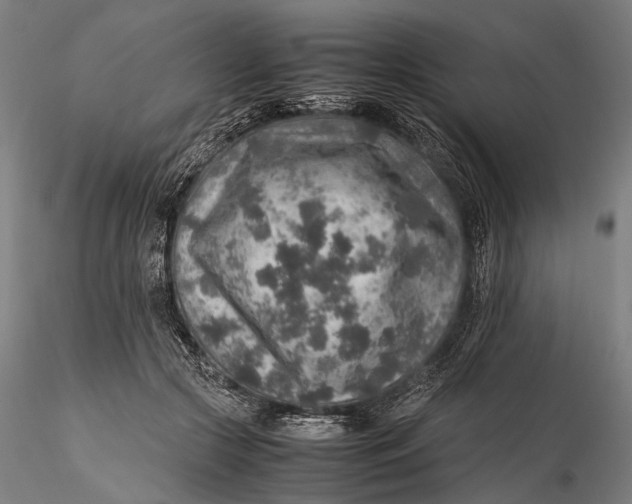 X0000115580553200912011441