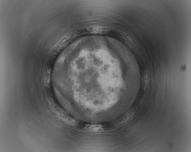 X0000115580554200912011441