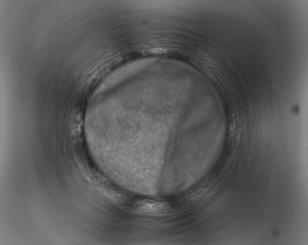 X0000115580555200912011441