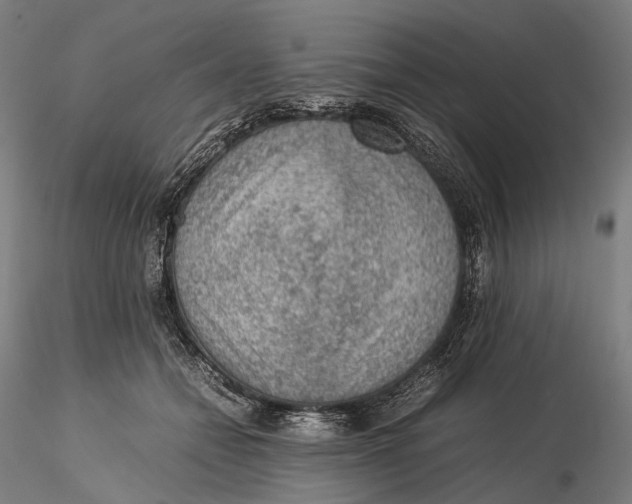 X0000115580558200912011441