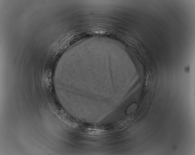 X0000115580559200912011442