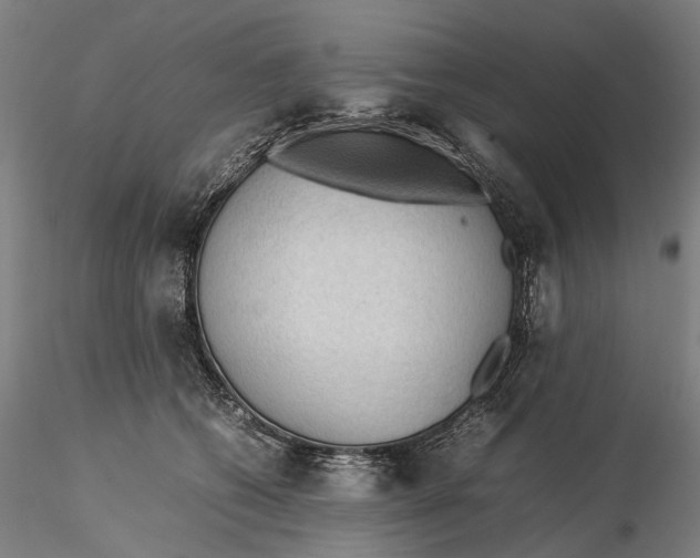 X0000115580562200912011442