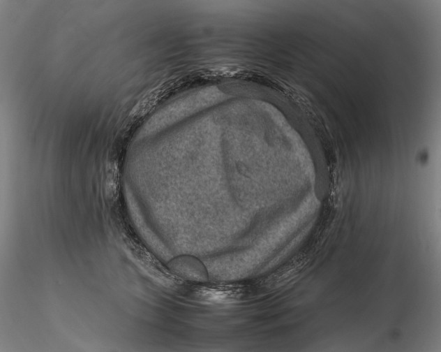 X0000115580563200912011442