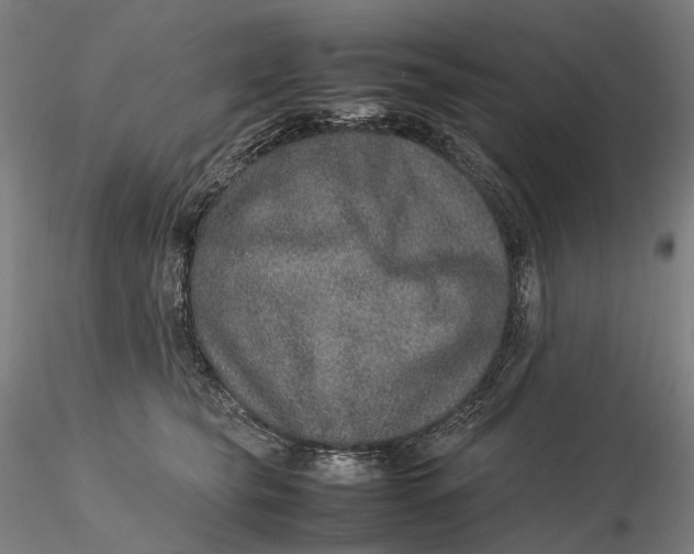 X0000115580565200912011442