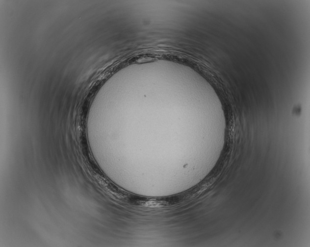 X0000115580566200912011442