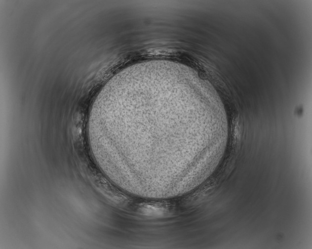 X0000115580567200912011442