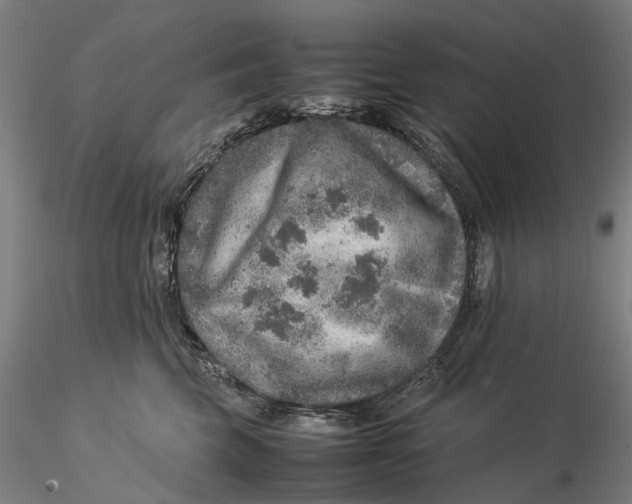 X0000115580569200912011442