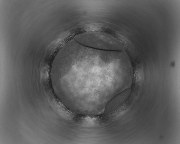 X0000115580570200912011442