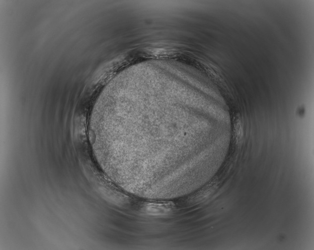 X0000115580571200912011442