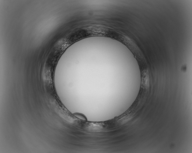 X0000115580573200912011442