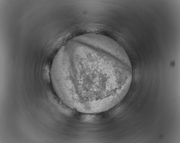 X0000115580575200912011442