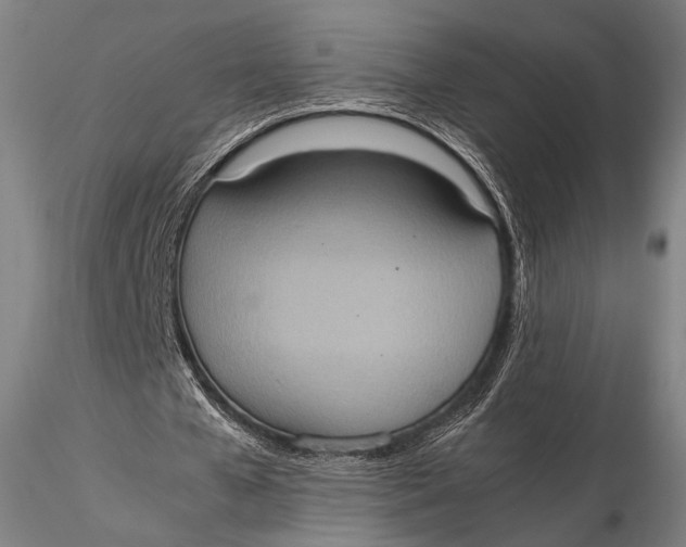 X0000115580577200912011441