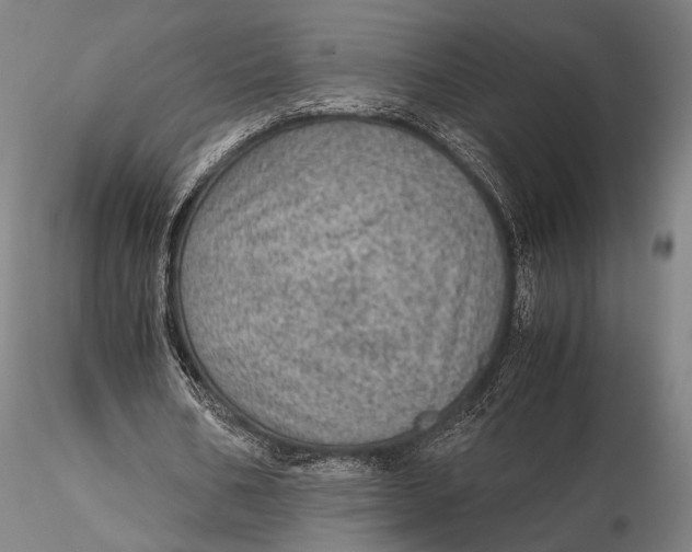 X0000115580578200912011441