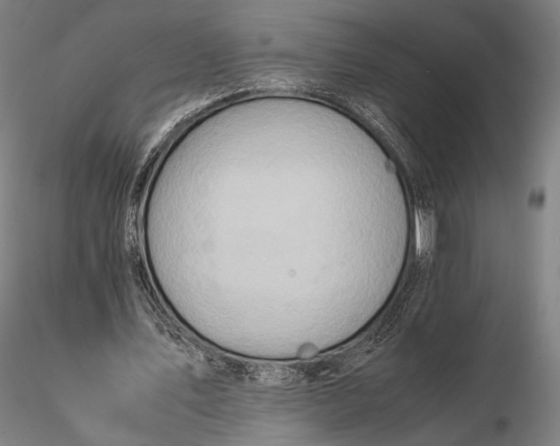 X0000115580579200912011441