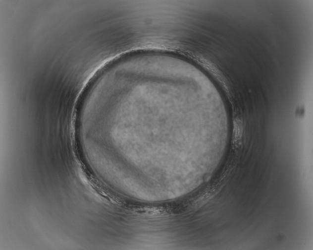 X0000115580580200912011441