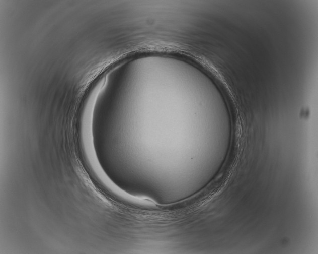 X0000115580581200912011441