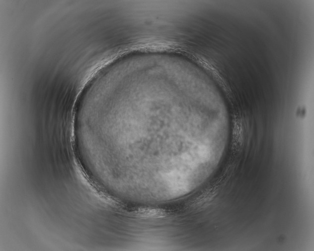 X0000115580582200912011441