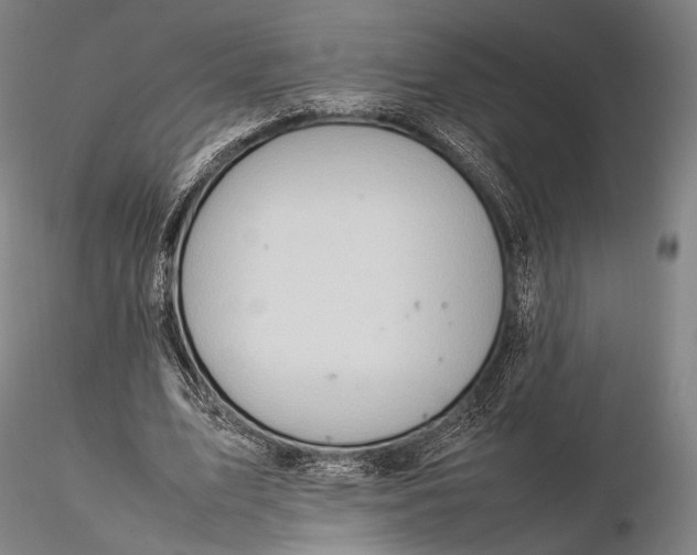 X0000115580583200912011441