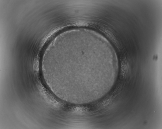 X0000115580584200912011441