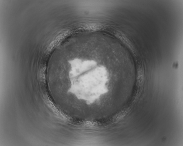 X0000115580585200912011441