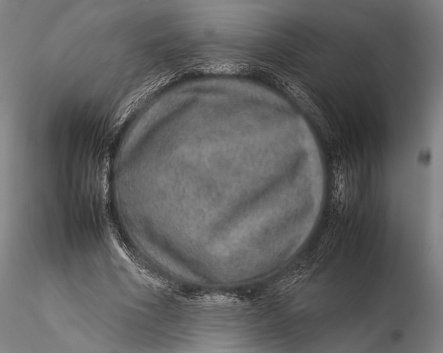 X0000115580586200912011441