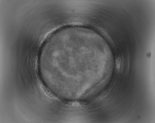 X0000115580588200912011441