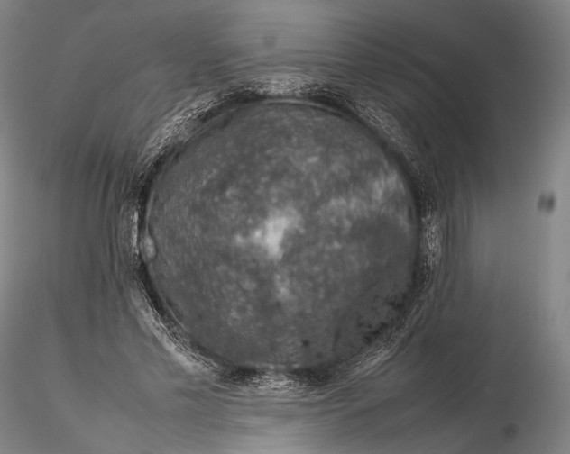 X0000115580589200912011441