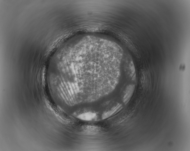 X0000115580590200912011441