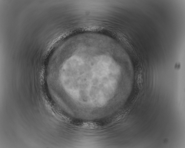 X0000115580591200912011441