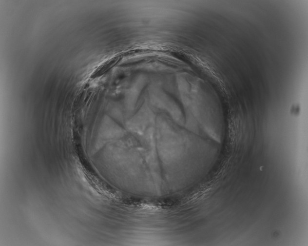 X0000115580592200912011441