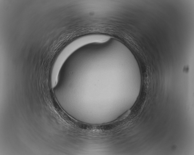 X0000115580593200912011441