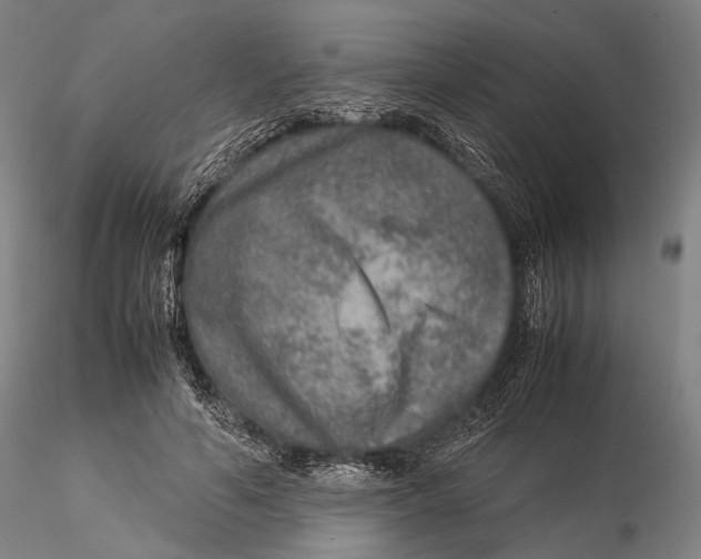 X0000115580594200912011441