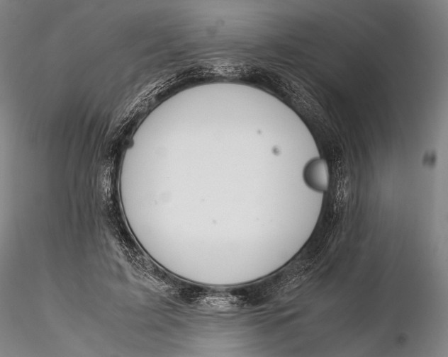 X0000115580595200912011441