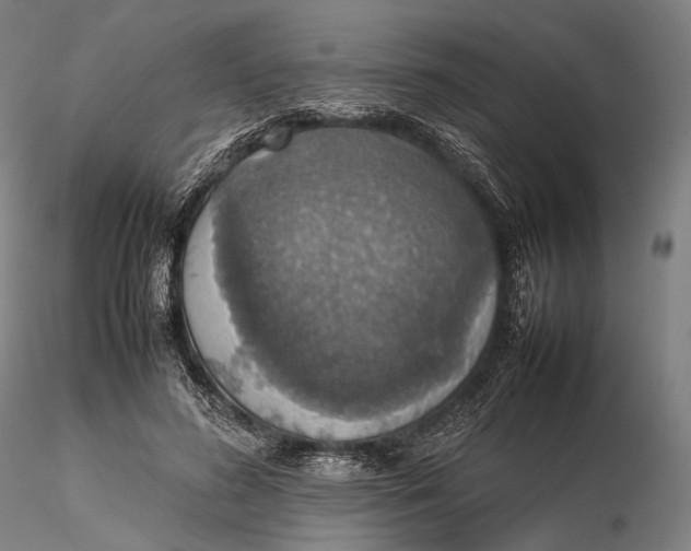 X0000115580596200912011441