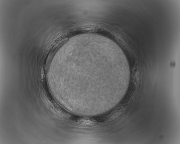 X0000115580597200912011441