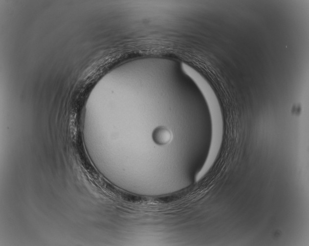 X0000115580599200912011441