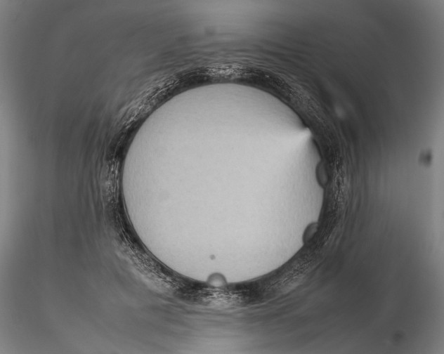 X0000115580601200912011441