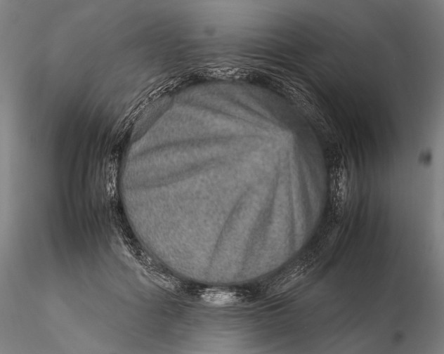 X0000115580602200912011441